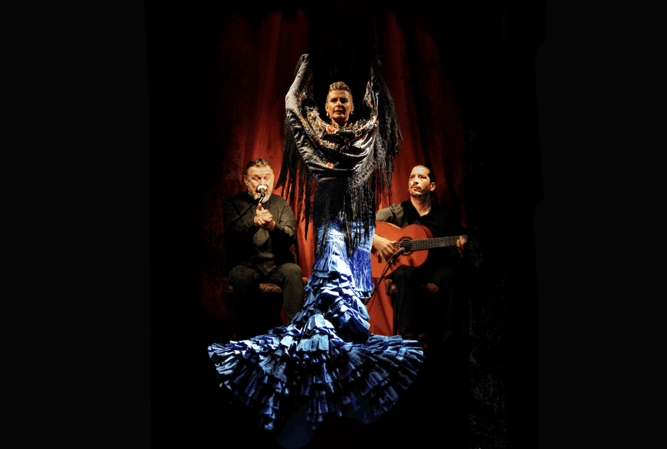 Flamenco Premium Show and Tour Guitar Museum Gallery Image 1
