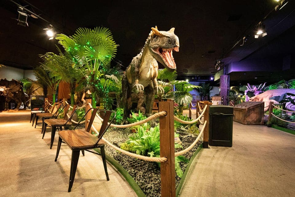 22. Dinosaur Outpost Admission Ticket - Image 22