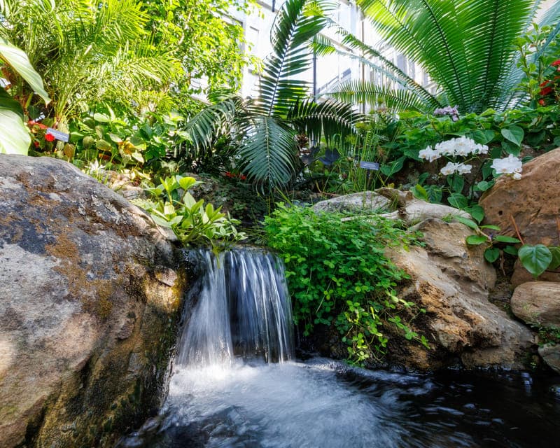 Memphis Botanic Garden Entry Ticket Gallery Image 3