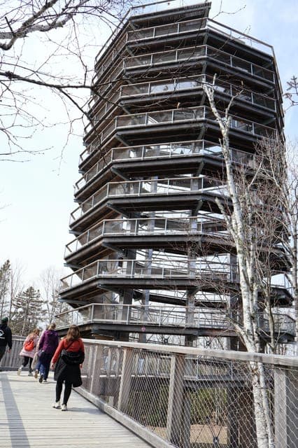 Guided tour of the Laurentides Mont Tremblant Gallery Image 4