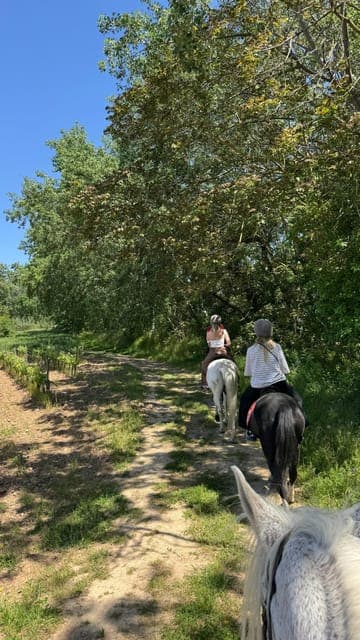 PRIVATE Horseback Ride + Tapas + Picnic Gallery Image 4