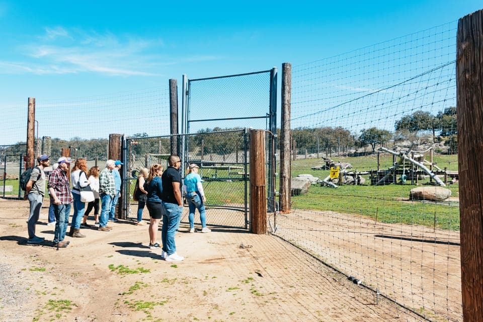Alpine: Lions Tigers & Bears Animal Sanctuary Guided Visit Gallery Image 2
