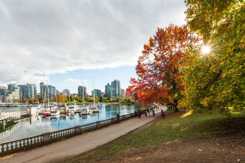 Vancouver Lookout Private Tour with Skip-the-line Tickets Gallery Image 4