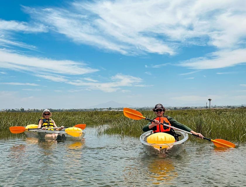 Crystal Clear Wildlife Kayak Tour Gallery Image 3