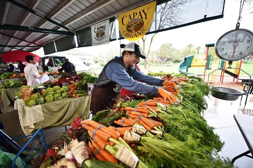 Yolo: Vineyards, Farms & Cultural Gems - Audio Driving Tour Gallery Image 4