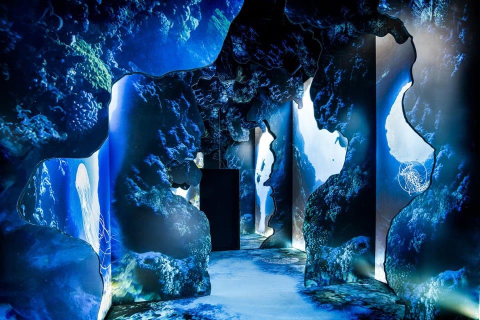 Arcadia Earth, Immersive Experience Anytime Ticket - Image 7