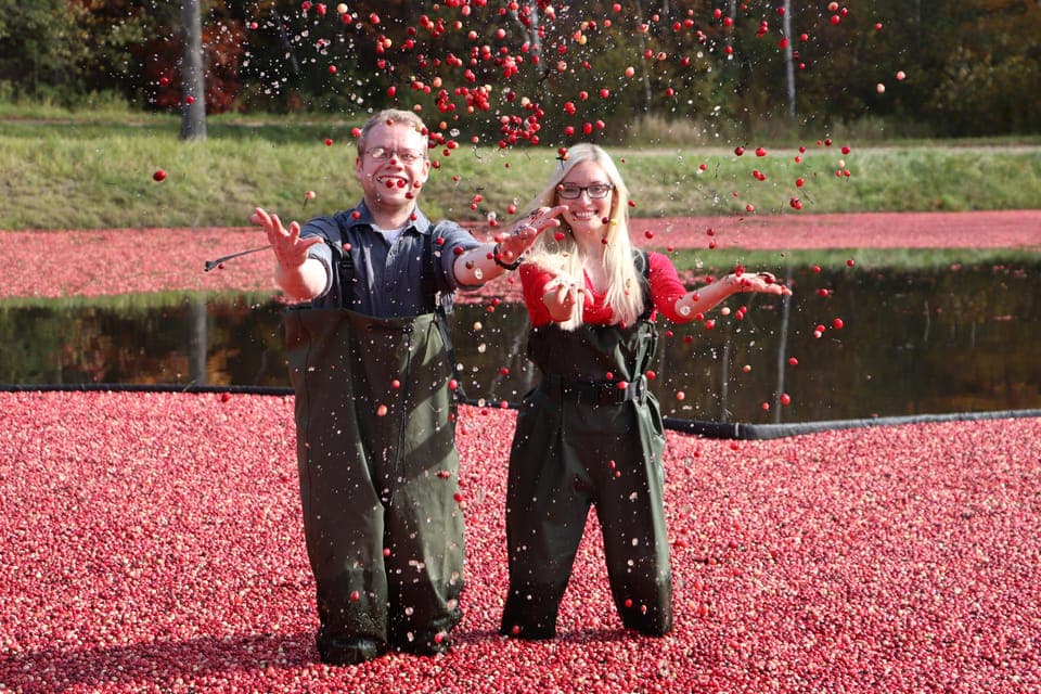 Muskoka Cranberry Farm and Hardy Lake Hike Gallery Image 2