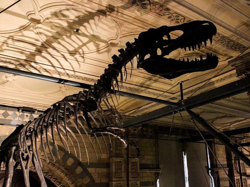 Guided Tour of Natural Marvels Gallery Image 4