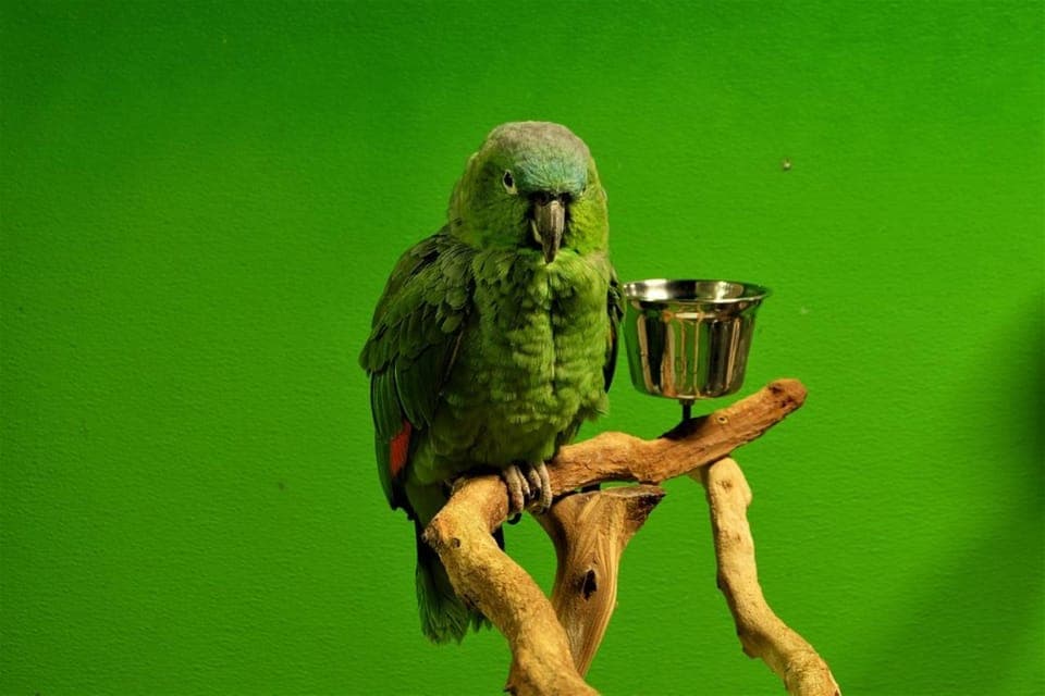 Austin Aquarium Entry Ticket Gallery Image 1