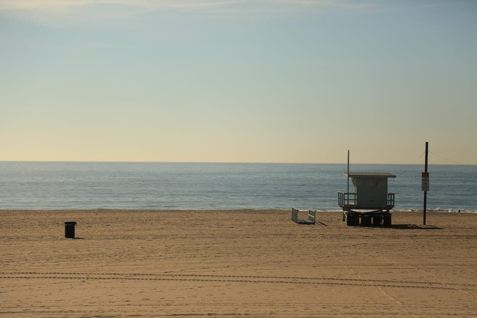 Santa Monica: Surfing Day Trip with Lunch Gallery Image 4