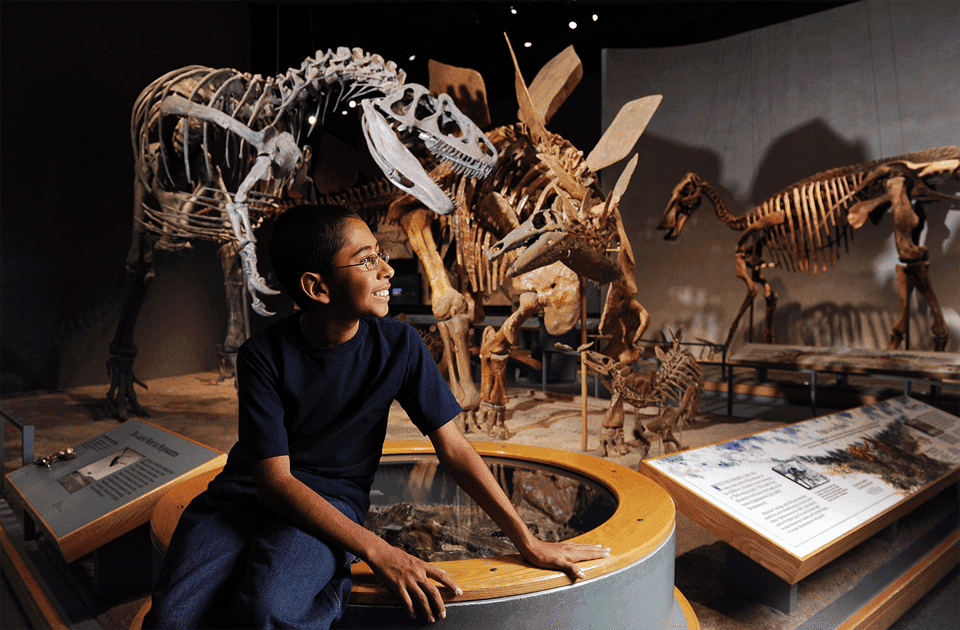 Museum of Nature and Science Entry Ticket Gallery Image 2