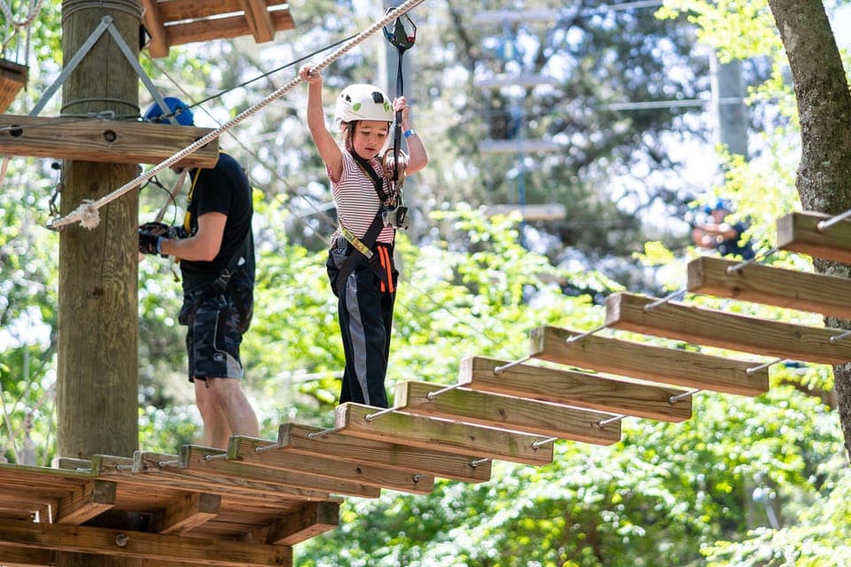 Aerial Adventure Course Park Pass Gallery Image 4