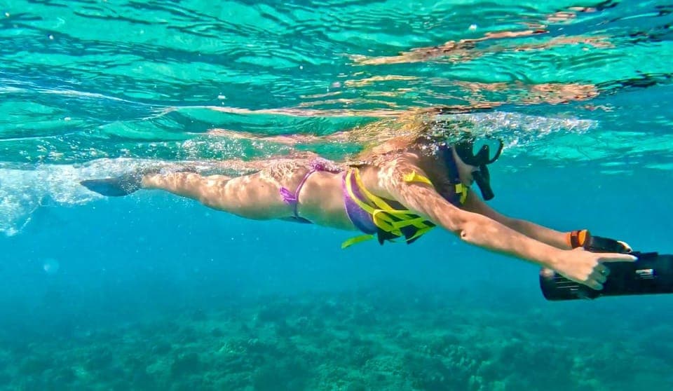13. West Palm Beach: Beginner Jet Snorkel Tour with Videos - Image 13