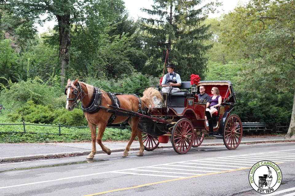 Central Park Horse Carriage 25-min Ride Gallery Image 4