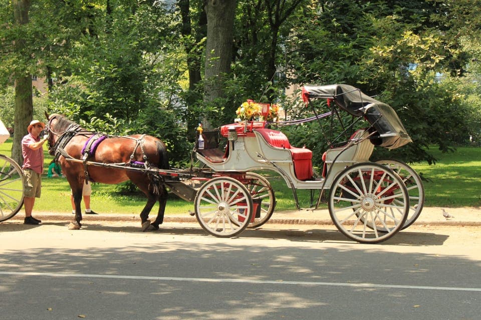 New York Private Central Park Horse Carriage Ride with Guide Gallery Image 4