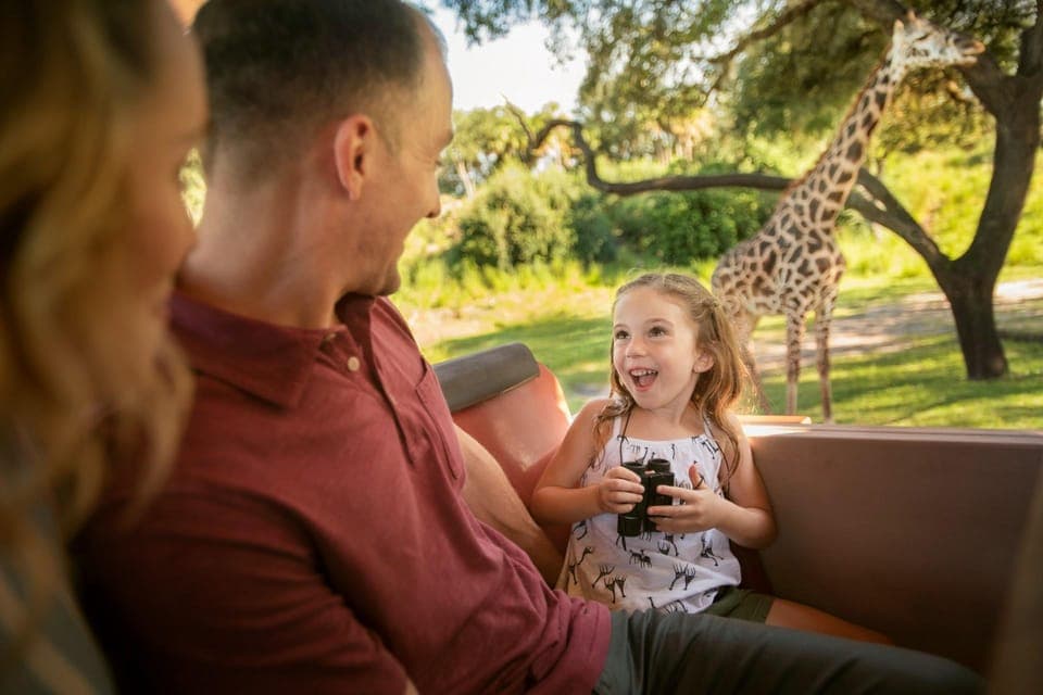 Walt Disney World Tickets – 1 Park per Day Gallery Image 2