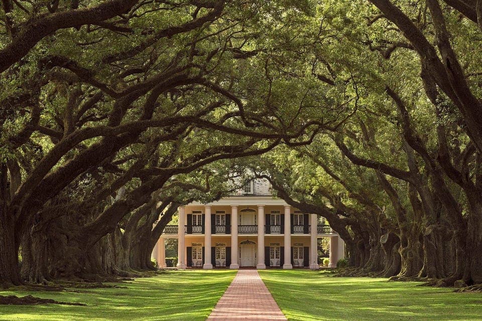 40. Oak Alley Plantation Half Day Tour - Image 40