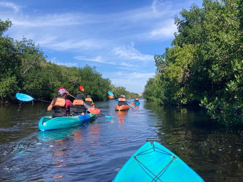 19. Everglades National Park Hiking and Kayaking Day Trip - Image 19