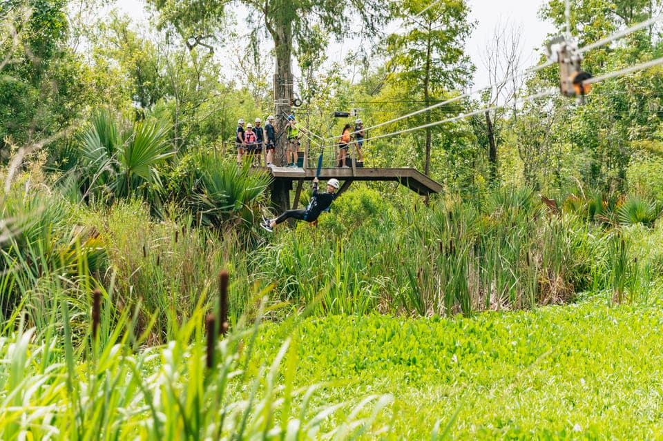 21. Swamp Zipline Tour - Image 21