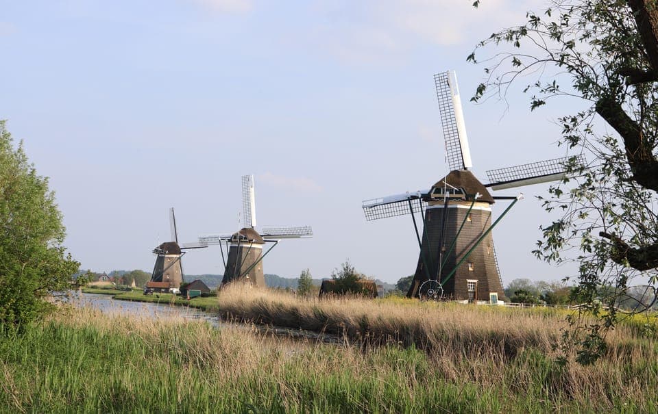 Delft and Volendam: Cheese, Clogs & Windmills (Small Group) Gallery Image 1