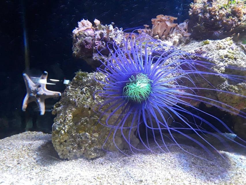 Austin Aquarium Entry Ticket Gallery Image 3