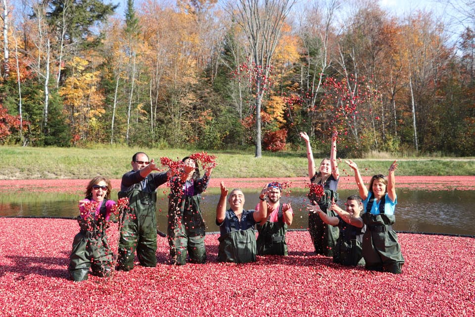 Muskoka Cranberry Farm and Hardy Lake Hike Gallery Image 4