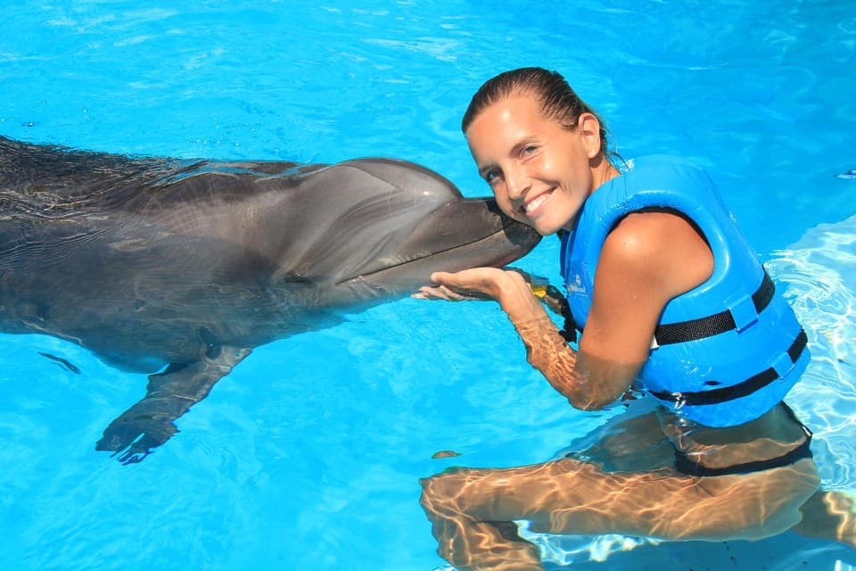 Cancun: Interactive Aquarium Ticket and Swim with Dolphins Gallery Image 4