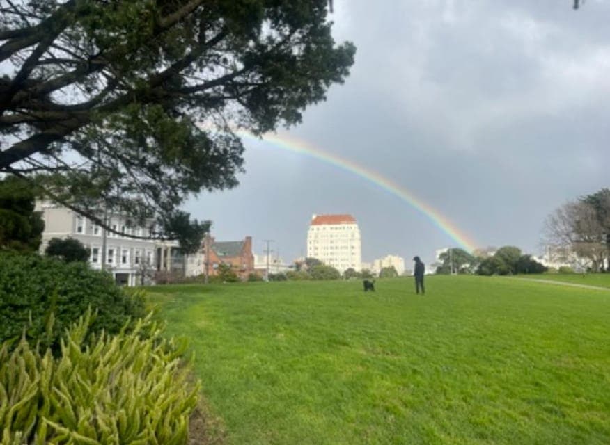 Billionaire's Row & Palace of Fine Arts Tour Gallery Image 2