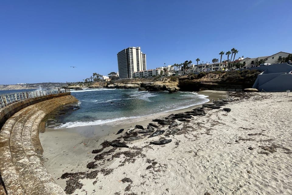 La Jolla: 2-Hour Guided Segway Tour Gallery Image 4