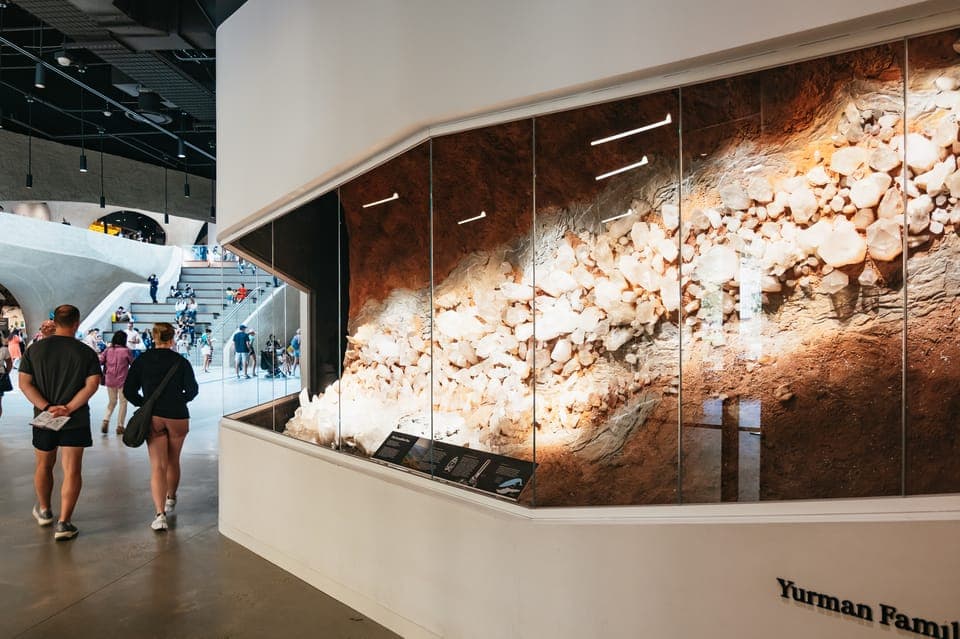 2. American Museum of Natural History Ticket - Image 2