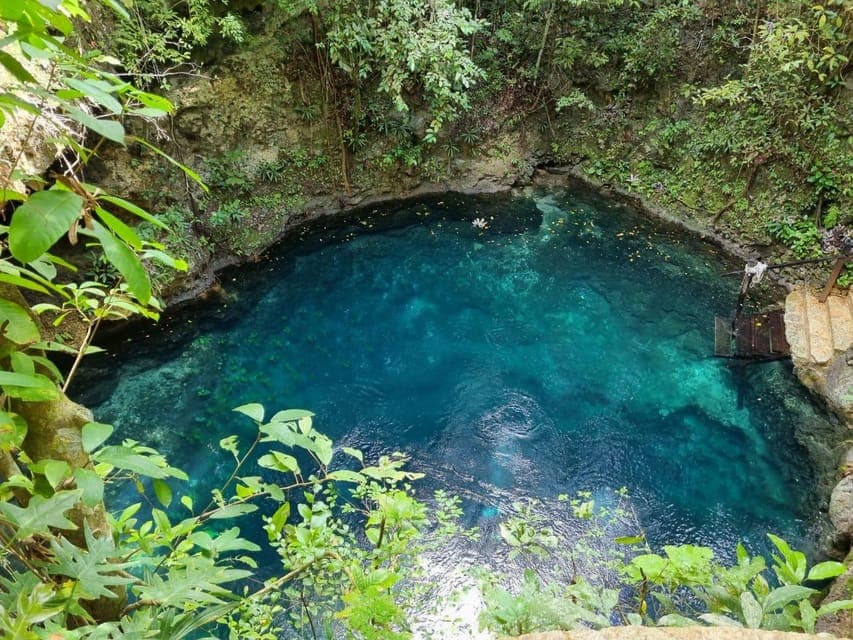 Cancun: 2 Dives in Cenotes Ki Ha + Zapote - Certified Divers Gallery Image 3