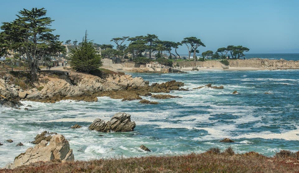 23. Monterey Peninsula Sightseeing Tour including 17 Mile Drive - Image 23