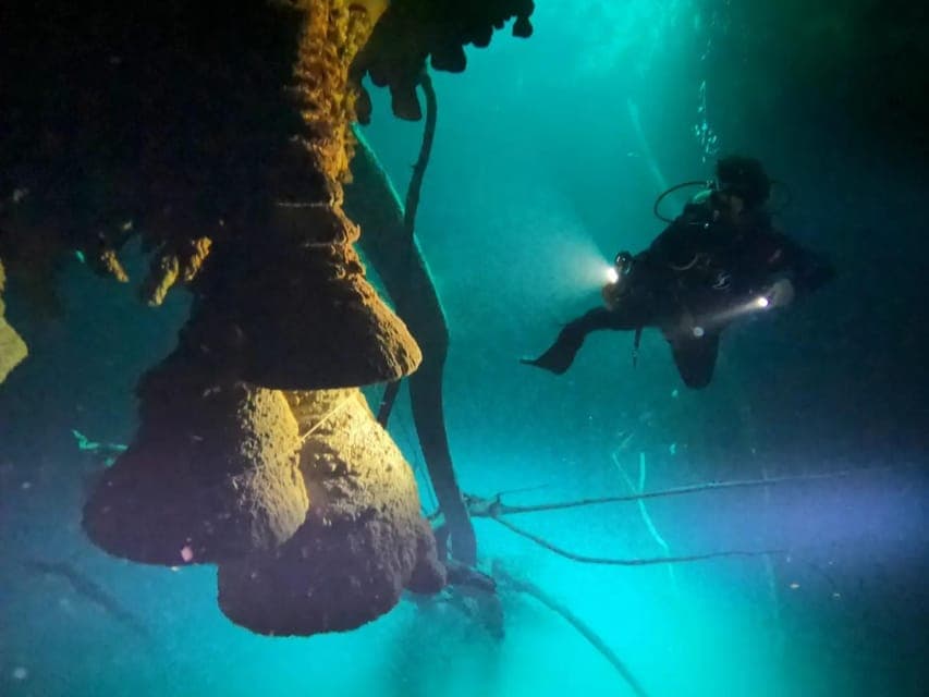 Cancun: 2 Dives in Cenotes Ki Ha + Zapote - Certified Divers Gallery Image 4