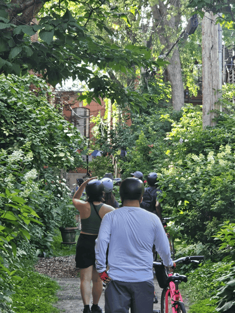 Non Touristy Pink Bike Tour Gallery Image 3