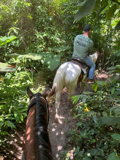 Horseback Riding in South Beach Gallery Image 3