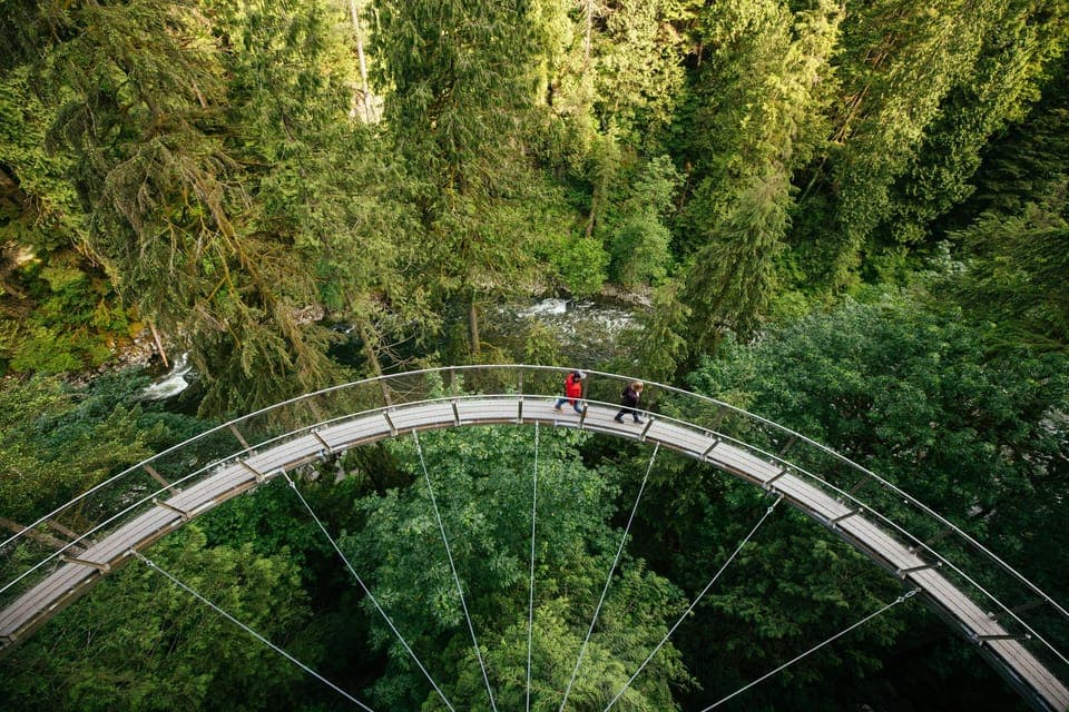 Capilano Suspension Bridge Park Ticket Gallery Image 3
