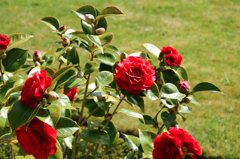 Versailles Full-Day Guided Tour with Lunch Gallery Image 3