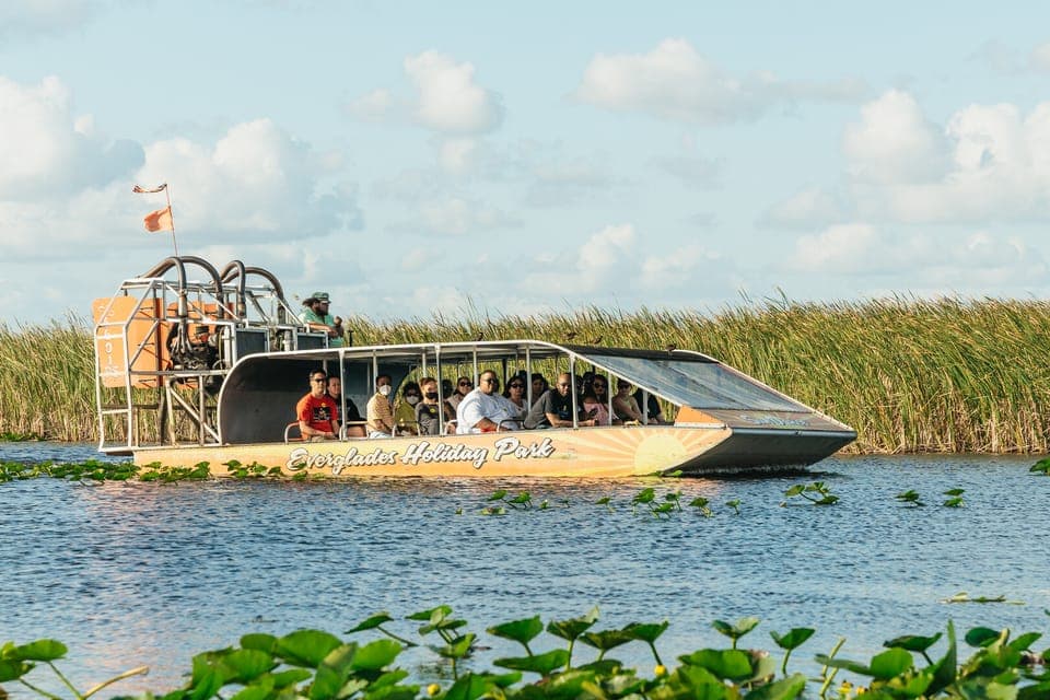 Everglades Airboat, Wildlife Show & Bus Transfer Gallery Image 4