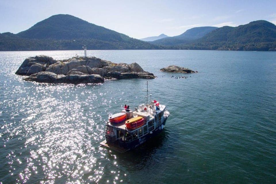 15. Boat Dive for Certified Divers - Image 15