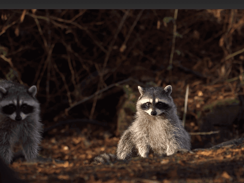 Haunted Halloween Trolley Tour Gallery Image 3