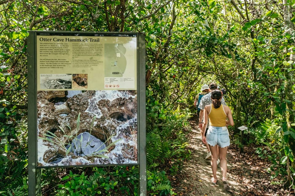 From Miami: Everglades Airboat Ride and Nature Walk Gallery Image 2