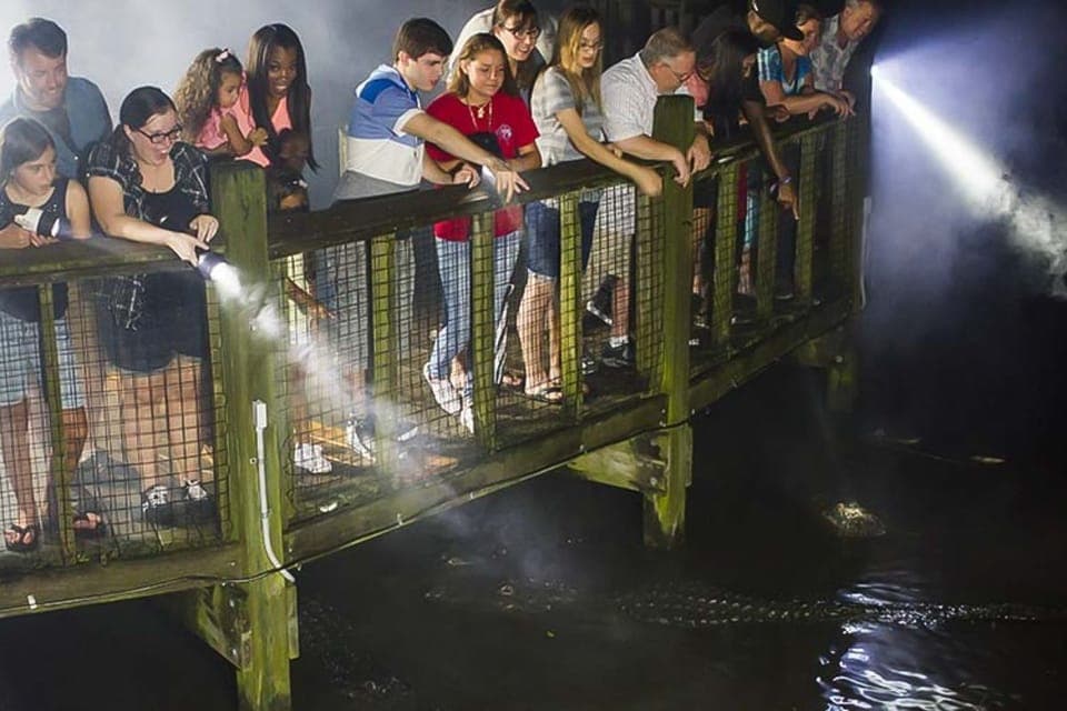 35. Gatorland Flashlight Tour at Night - Image 35