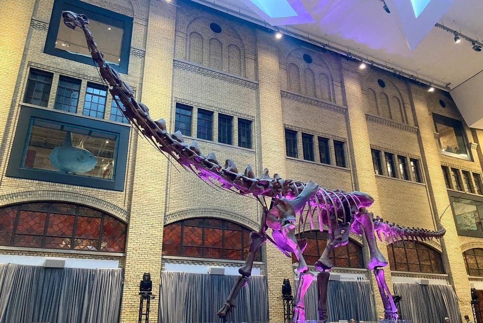 Royal Ontario Museum Scavenger Hunt Gallery Image 4