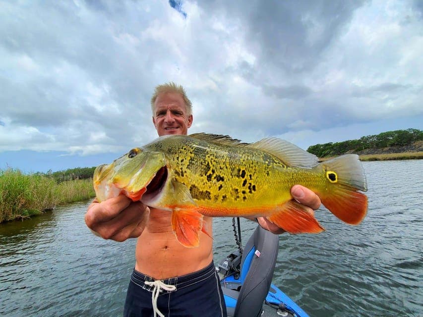 Peacock Bass Fishing Trips Near Miami Florida Gallery Image 3