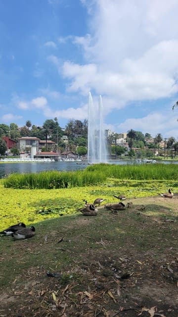 Private sightseeing tour in Los Angeles Gallery Image 4