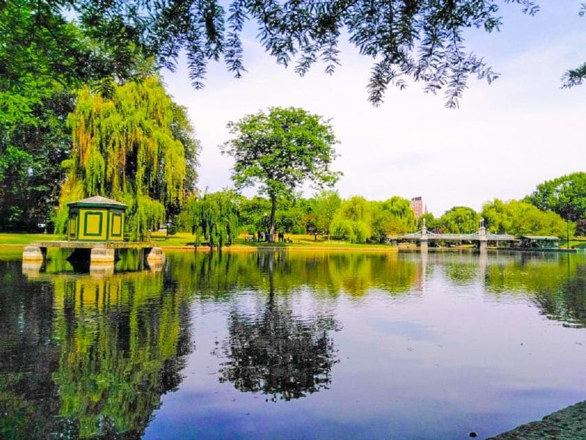 From Boston:Public Garden,Beacon Hill&More Half Day tour Gallery Image 4