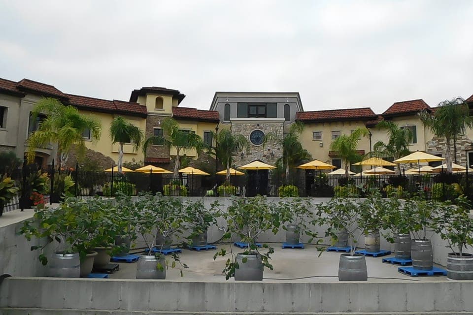 From Buffalo: Customizable Private Day Trip to Niagara Falls Gallery Image 1