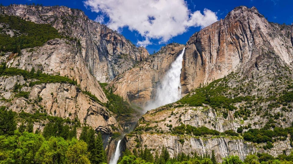 16. Yosemite and Sequoia National Parks 2-Day Trip - Image 16