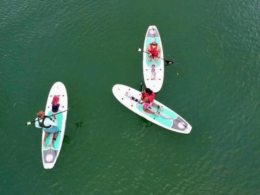 Paddle Board or Kayak Rental in Virginia Key Gallery Image 4