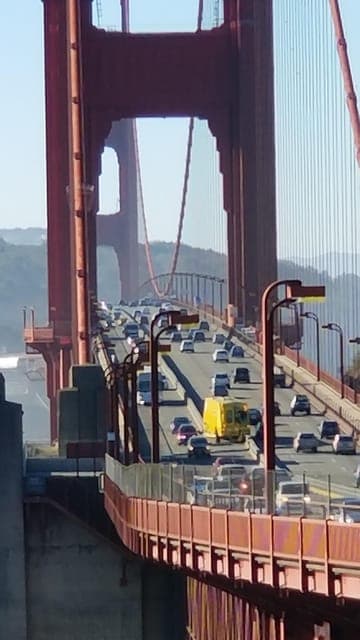 Muir Woods, Sausalito and Ferry back to Fisherman's Wharf Gallery Image 2